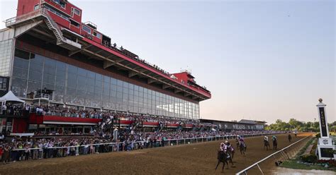 preakness morning line odds